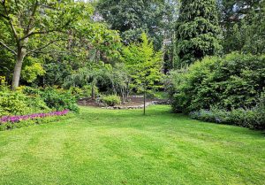 Optimiser l'expérience du jardin à Vesigneul-sur-Marne